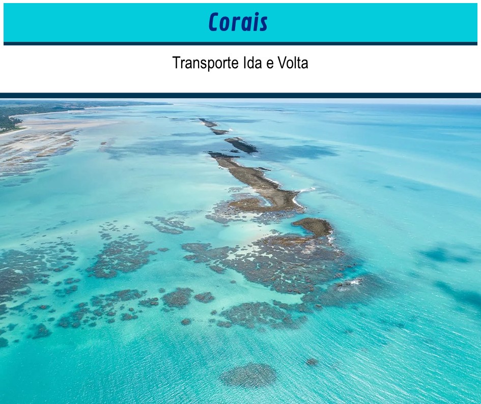 Macéio Love Tour - Transfer e Passeios Macéio  (15).JPG